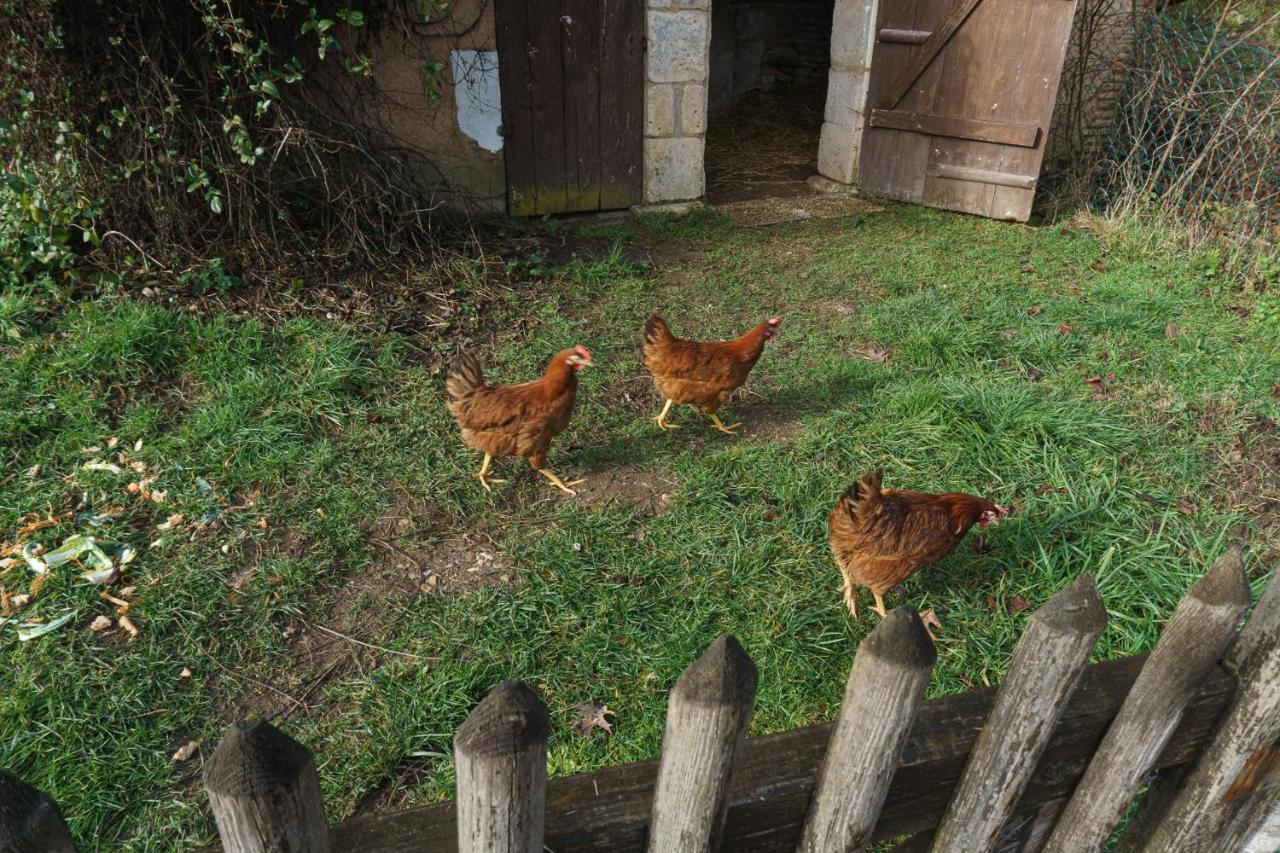 Chambres D'Hote En Dordogne Beauronne Ngoại thất bức ảnh